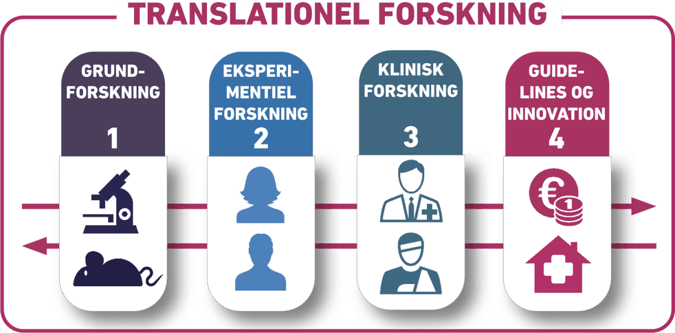 Translational forskning